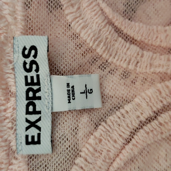 Sheer blouse by Express in a size L.  Pretty pink. Like new condition. - Picture 4 of 4